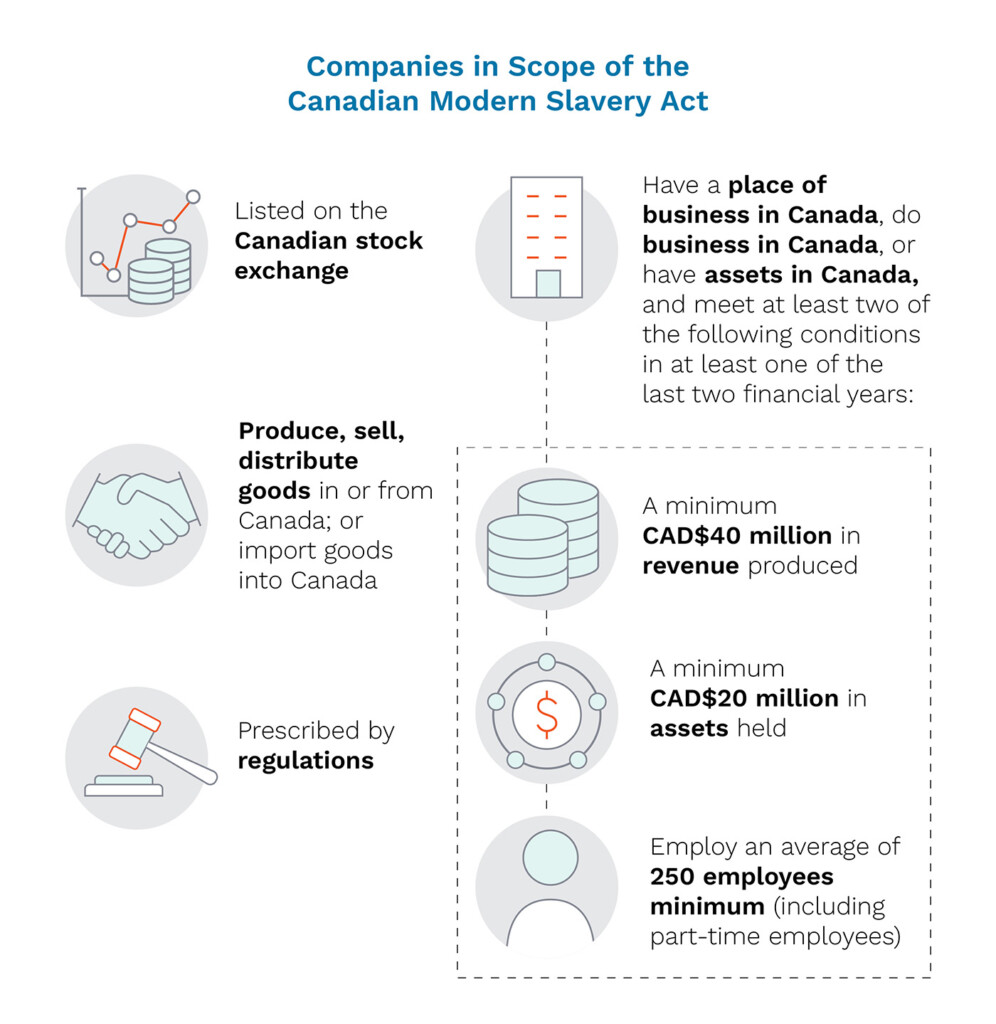 in-scope company requirements